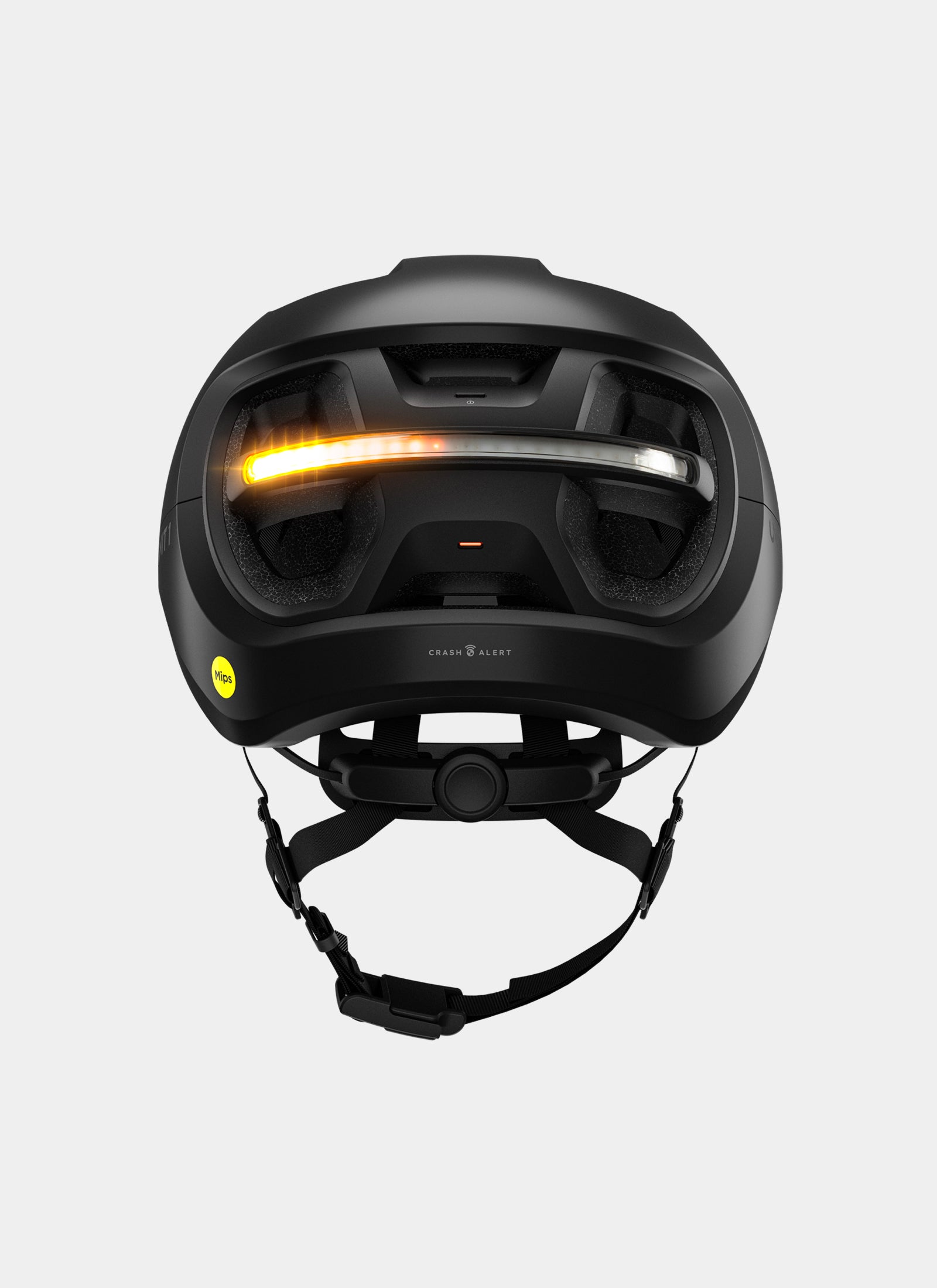 Unit 1 Aura Blackbird